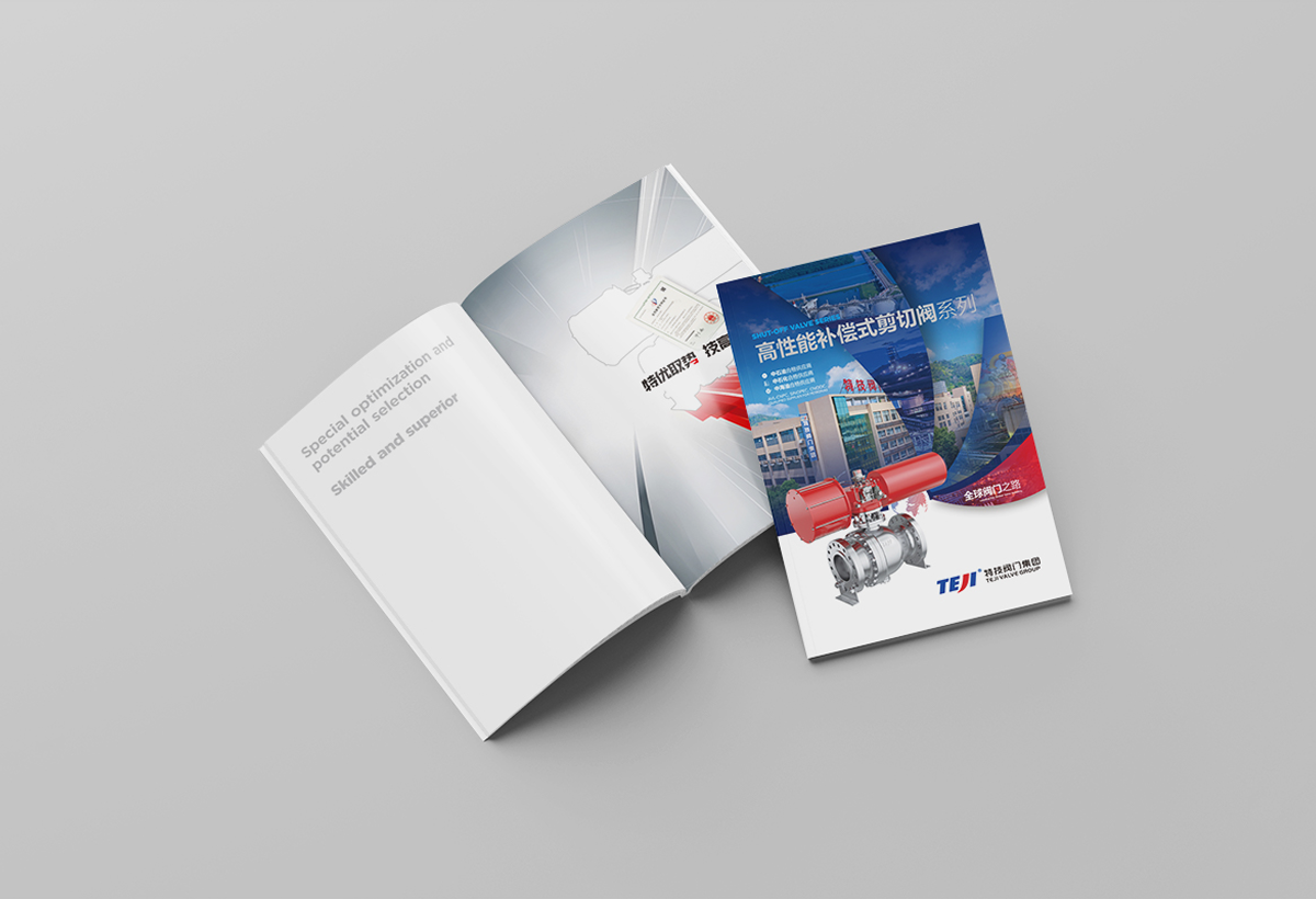 特技阀门集团有限公司